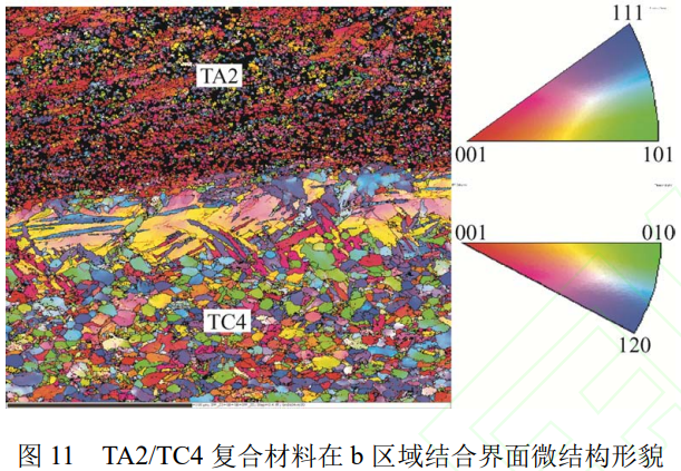 TA2/TC4鈦合金層狀復合板爆炸焊接-軋制制備及其界面微觀結(jié)構(gòu)表征與力學性能評價