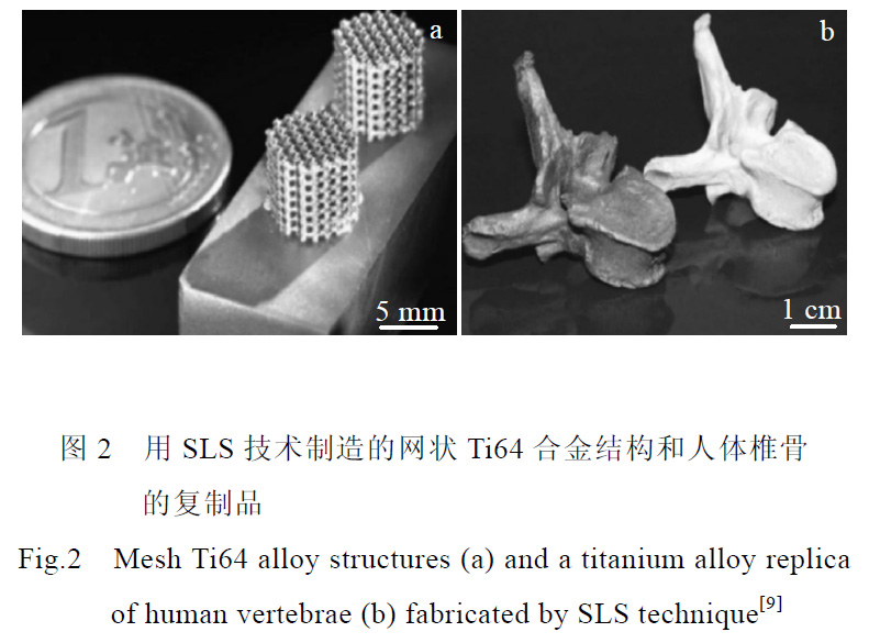 1666587524654524.jpg 22.jpg