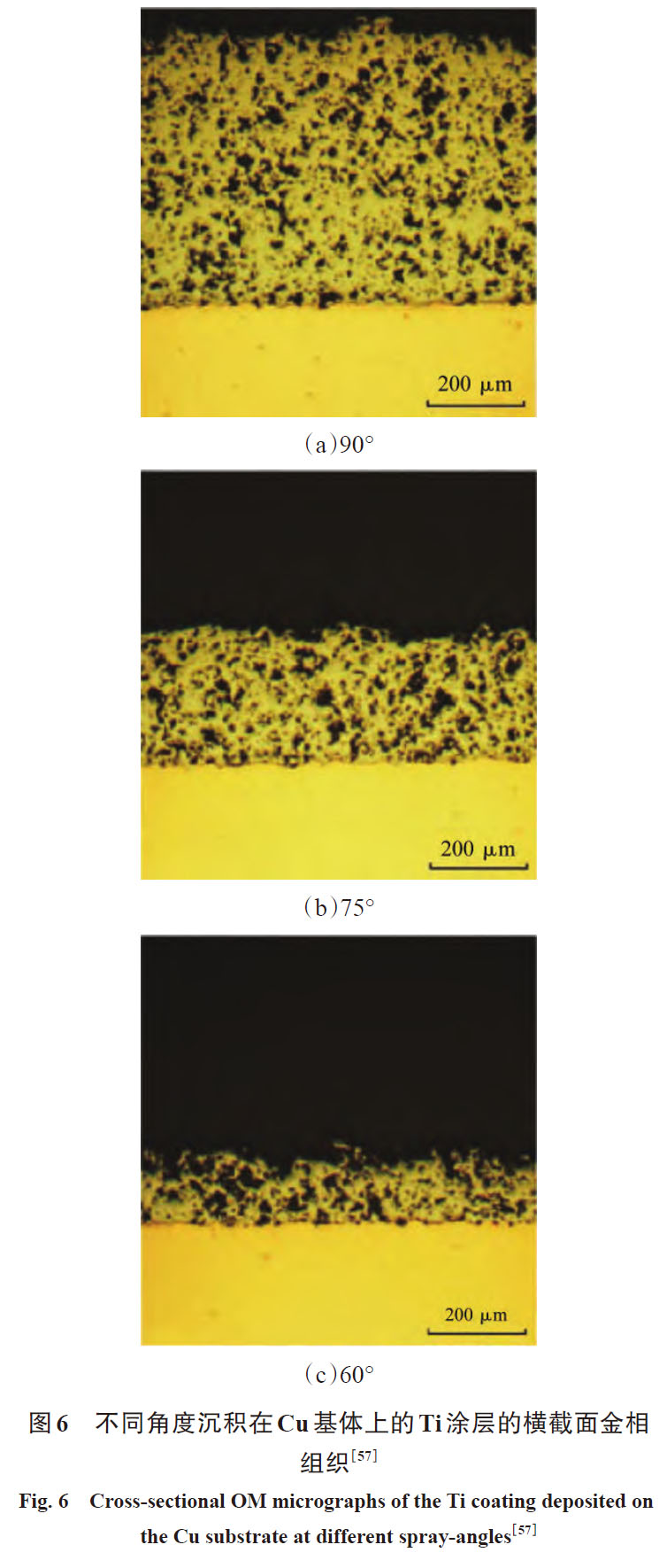 1672534040110630.jpg t6.jpg