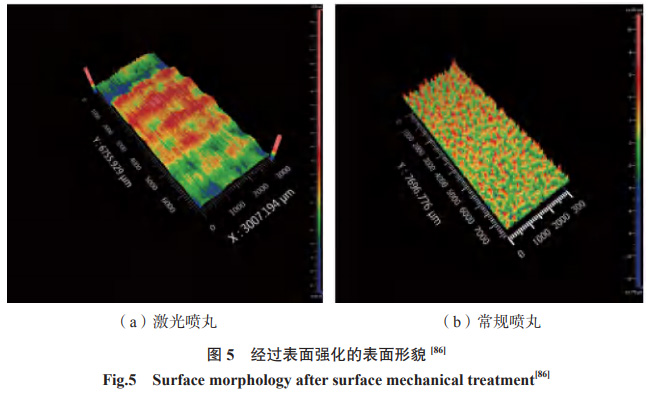 1652568022819624.jpg t5.jpg