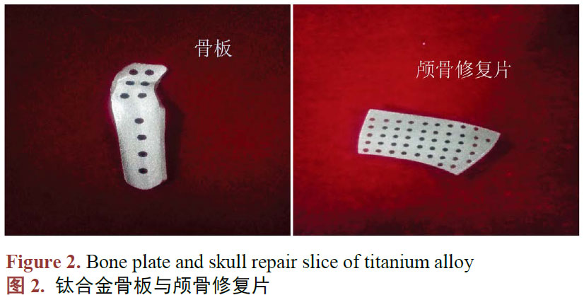 1683337806128996.jpg t2.jpg