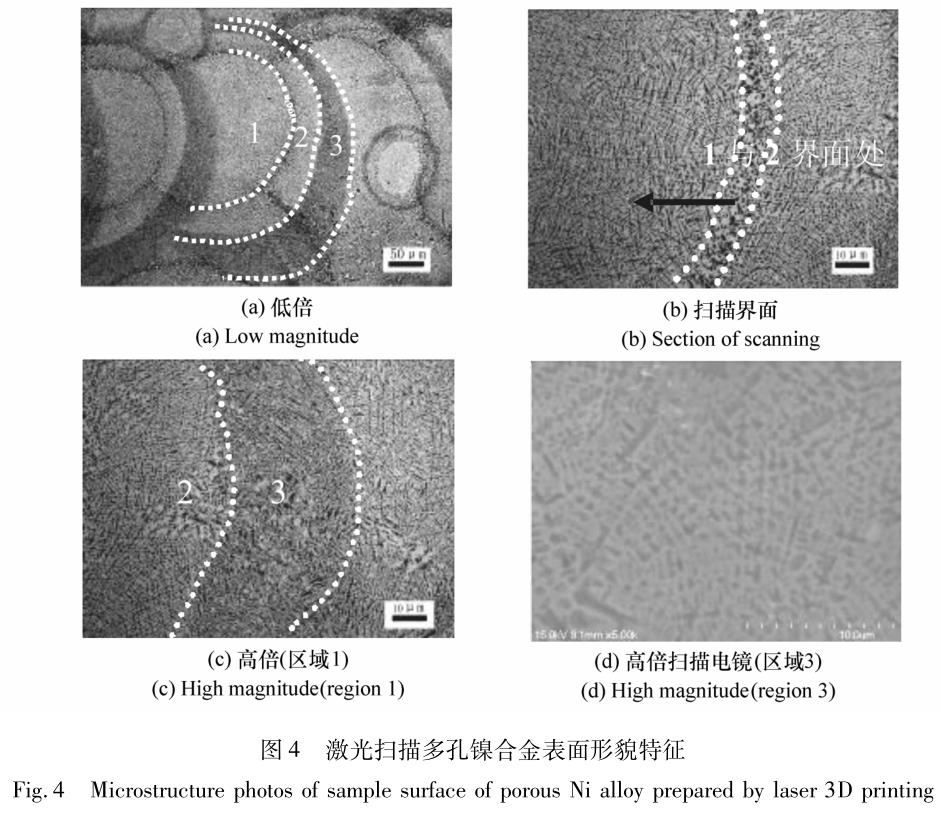 1701695945714596.jpg t4.jpg