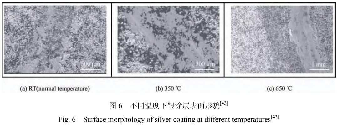 1706095432218821.jpg t6.jpg