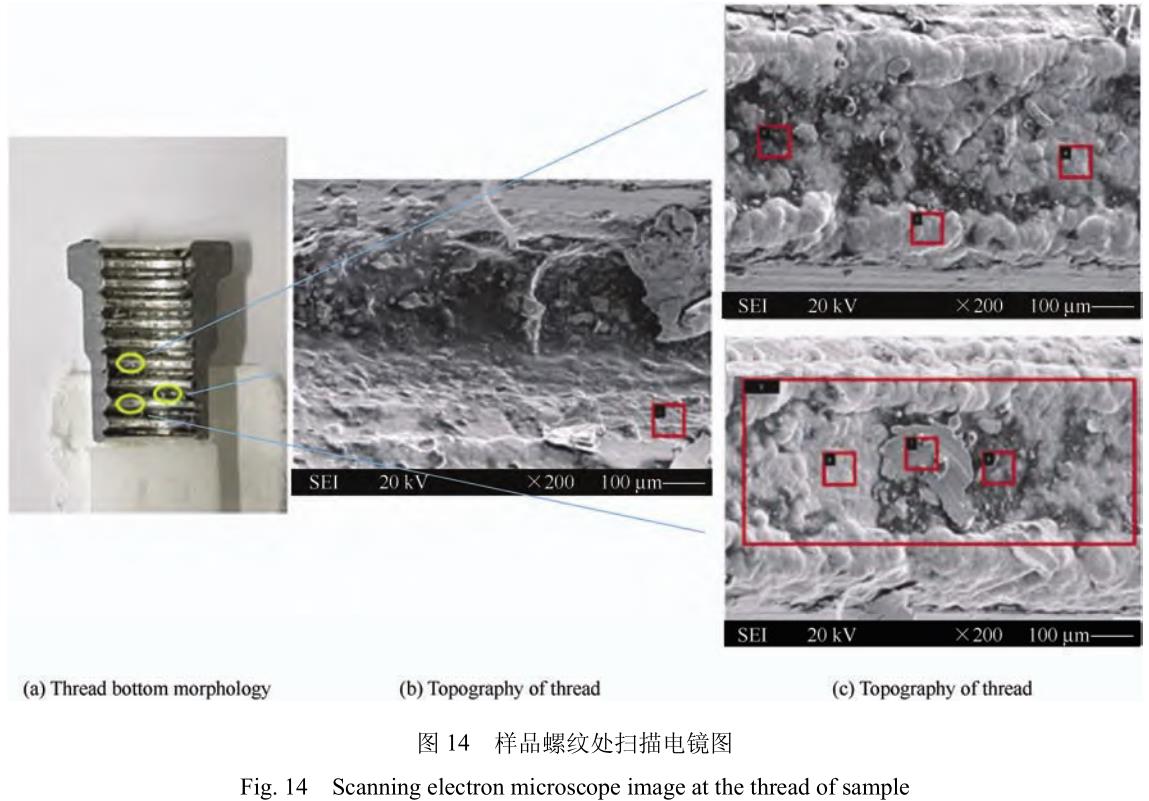 1706095608155717.jpg t14.jpg