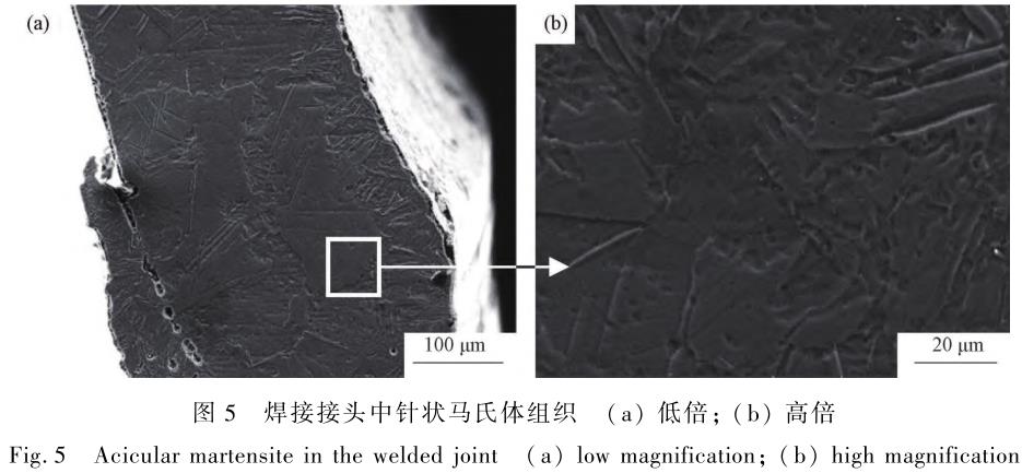 1706182222445233.jpg t5.jpg