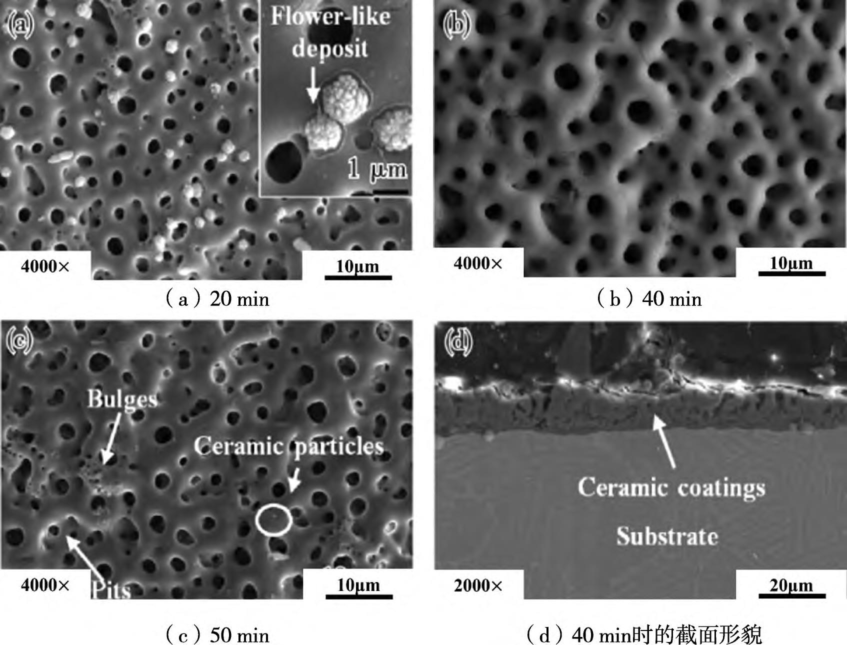 1712993067148963.jpg 5.jpg