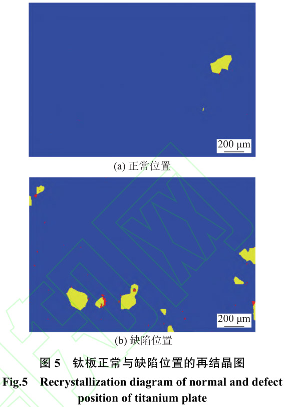 1713104783628471.jpg t5.jpg