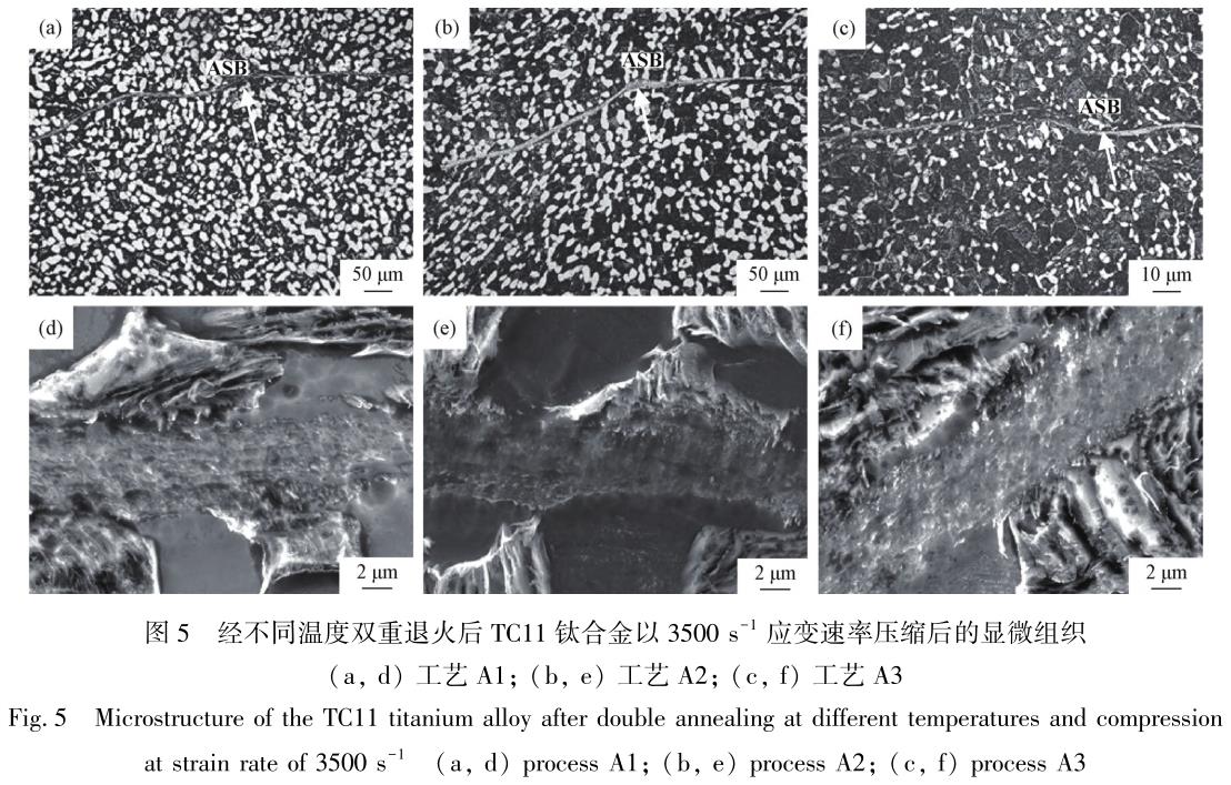 1708354381456751.jpg t5.jpg