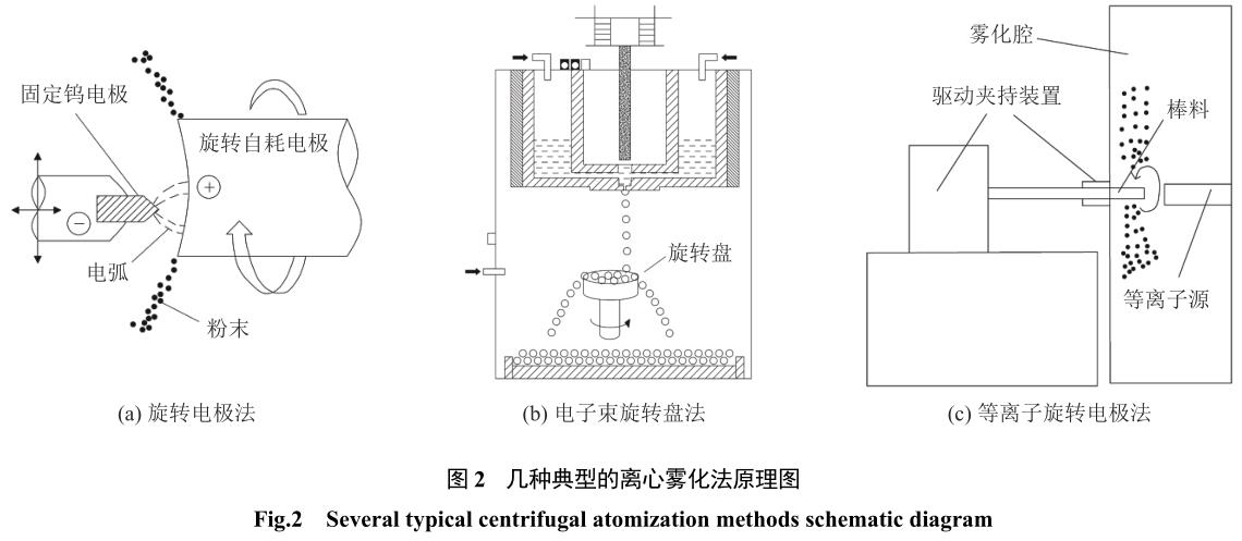 1721633332486930.jpg t2.jpg