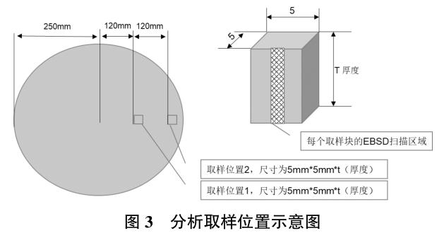 1721785374217365.jpg t3.jpg