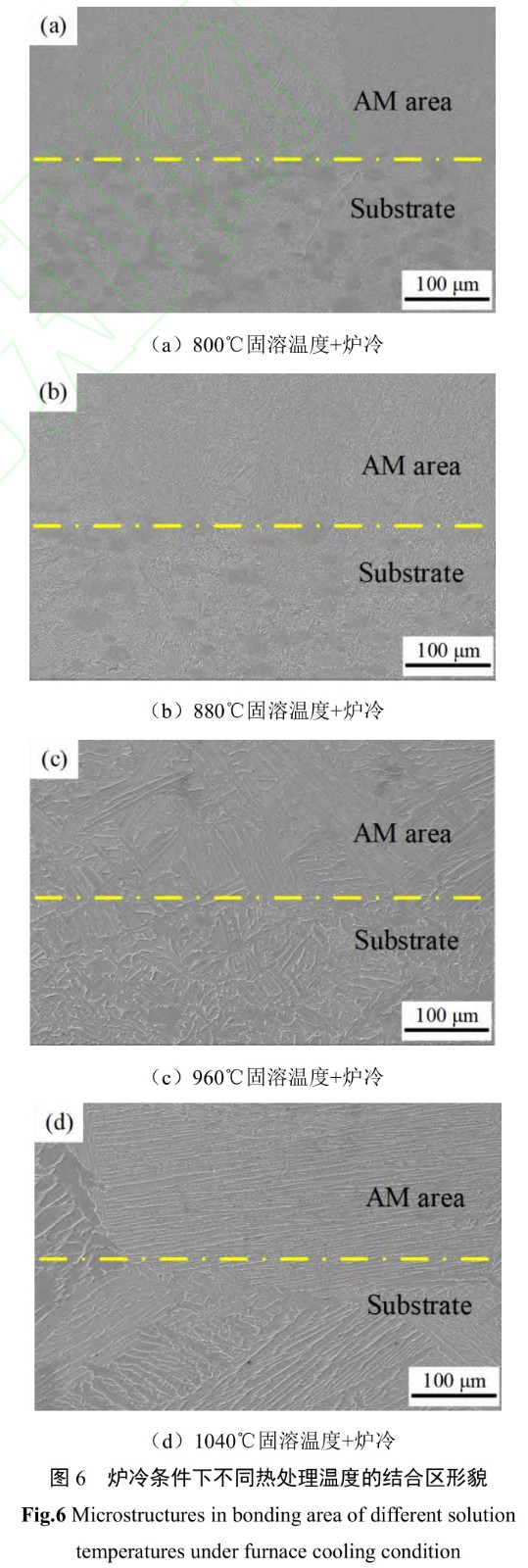 1727840821687195.jpg t6.jpg