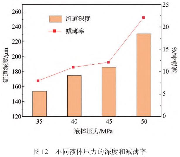 1729825326422372.jpg t12.jpg