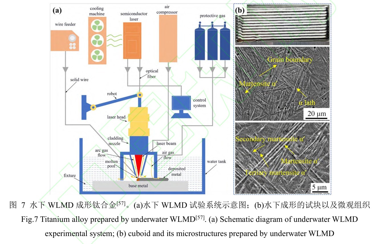 1735007801512969.jpg 7.jpg