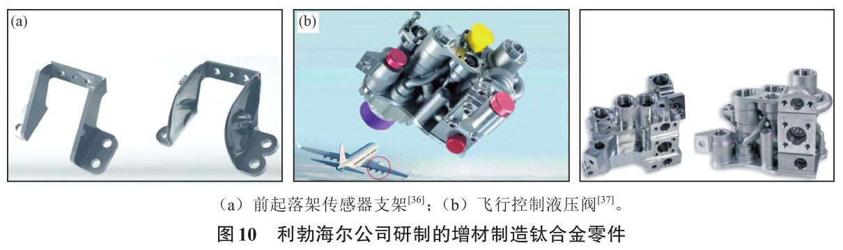 1735024783849532.jpg 10.jpg