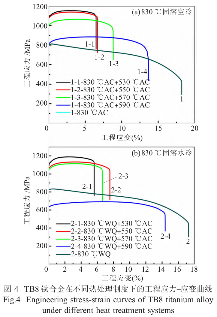 1735116781959763.jpg 4.jpg