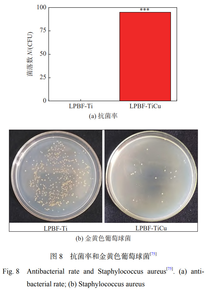 1739288405896285.jpg 8.jpg