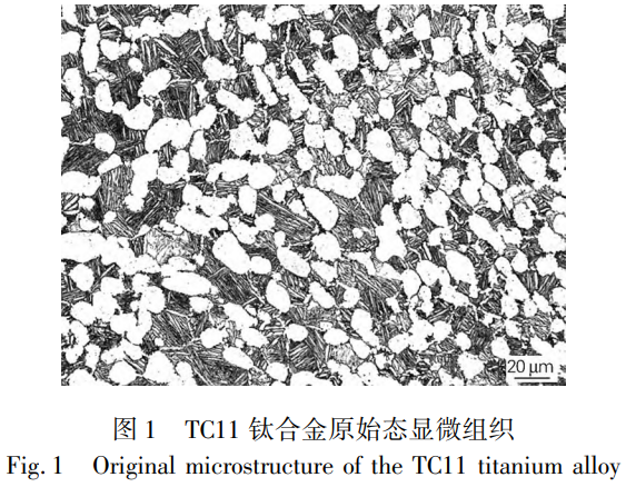 1763972563628155.png 截圖20251124162044.png