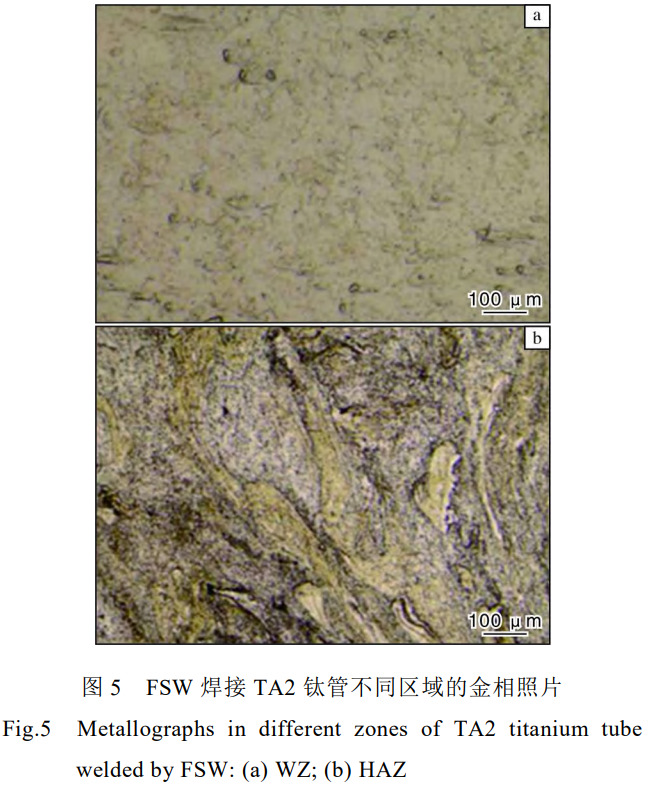 1779324568817641.png 5.png