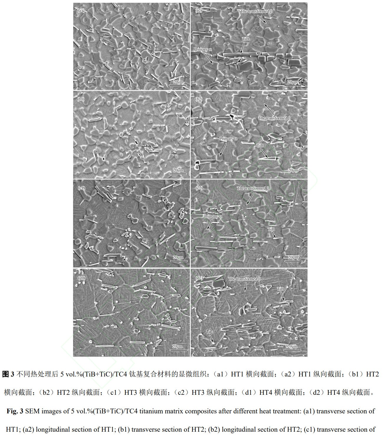 1781407197614115.jpg 3.jpg